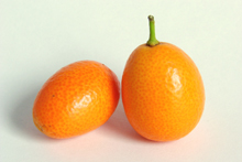 По внешнему виду плоды кумквата напоминают миниатюрный апельсин,