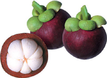 Фрукт мангостин- тропических фрукт из Юго-Восточной Азии 