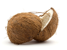 Кокосовые орехи растут группами по 15–20 штук
