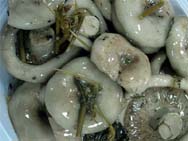 Солят главным образом пластинчатые грибы