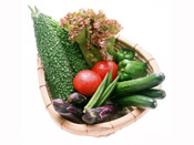 Овощи – источник минералов и витаминов