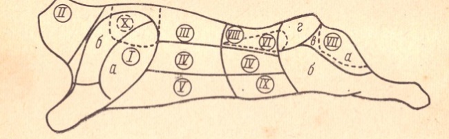 Рис. 10. Схема разделки говяжьей туши: I — лопатка (а — плечевая часть; б — заплечная часть); II — шея; III—спинная часть (толстый край); IV — покромка; V — грудинка; VI—вырезка; VII — заднетазовая часть (а — внутренняя; б — боковая; в —наружная; г —верхняя); VIII — поясничная часть (тонкий край); IX — пашина; X — подлопаточная часть 