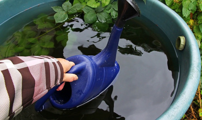 Дождевая вода в аккумулятор